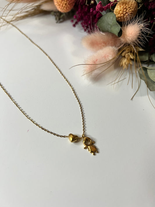 Collar Vida